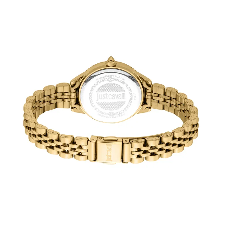 Just Cavalli Time Watch for Women stainless steel gold ,Green