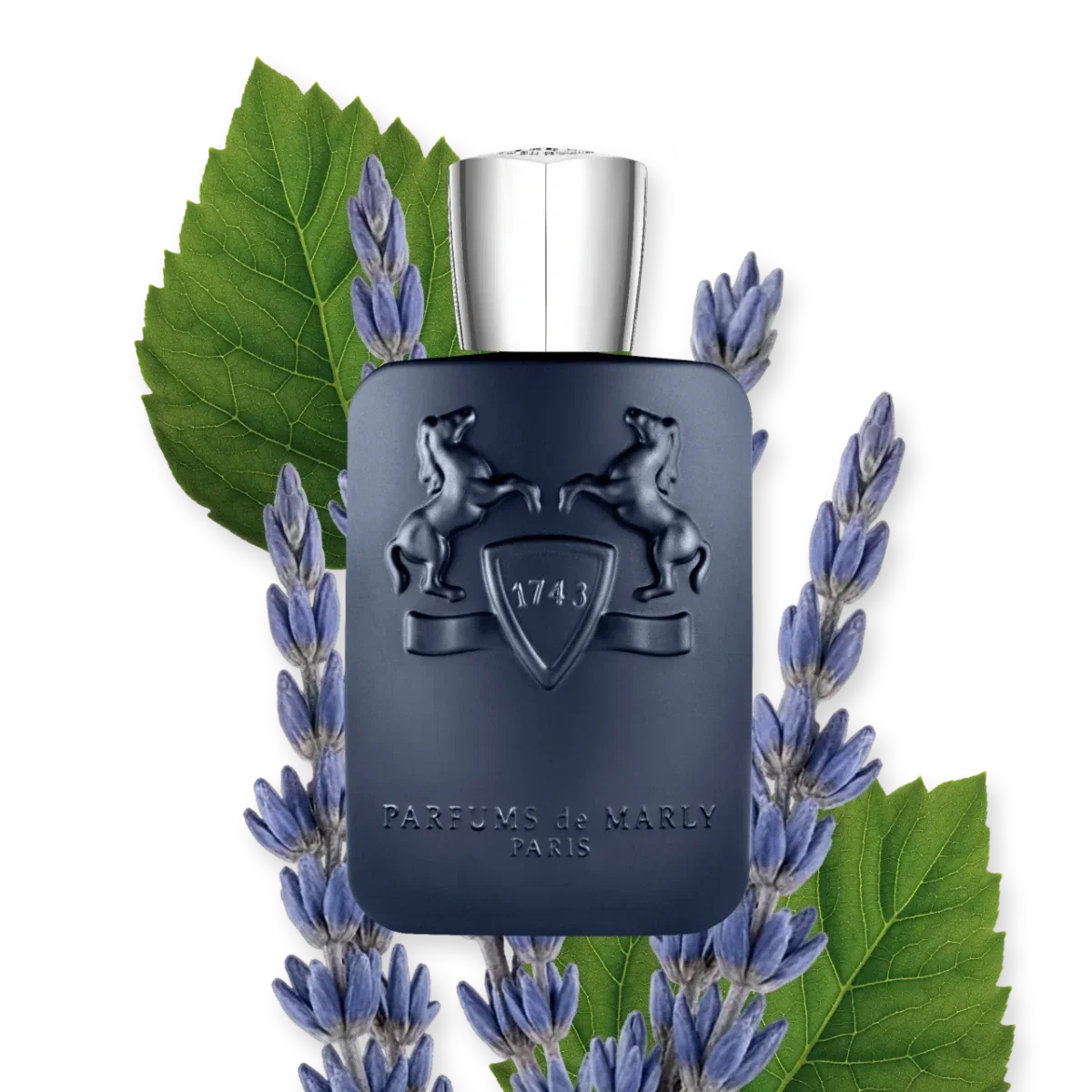 عطر بيرفيومز دى مارلى لايتون - اودى بارفيوم 125 مل