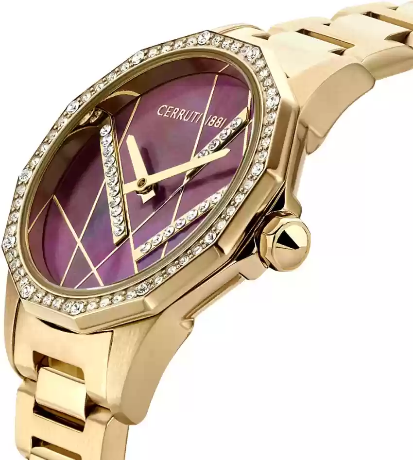 Cerruti 1881 JESINA watch for women steel gold , Burgundy
