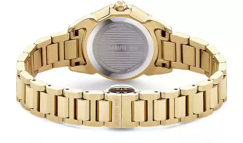 Cerruti 1881 JESINA watch for women steel gold , Burgundy