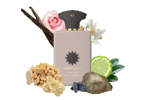 Amouge Opus XIV Royal Tobacco EDP 100ML