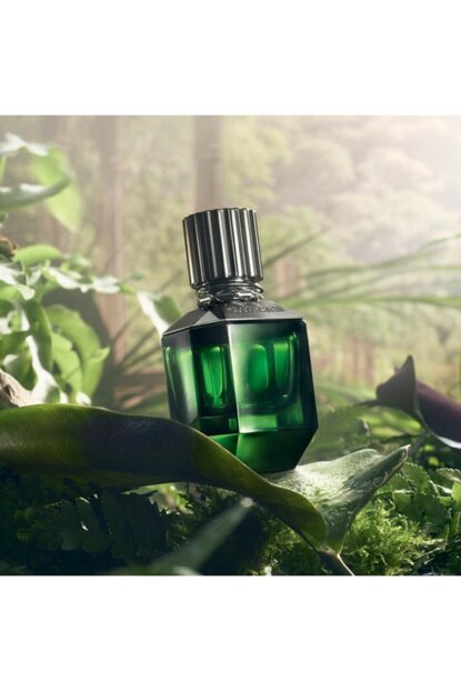 عطر روبيرتو كافالى براديسو فاوند للرجال اودى تواليت 50 مل