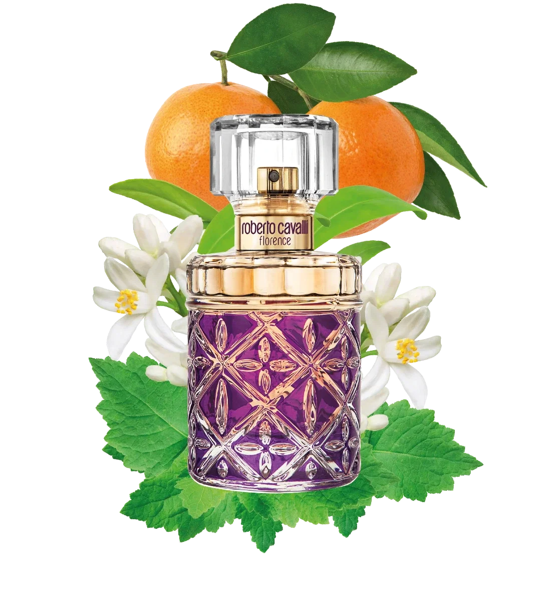 عطر روبيرتو كافالى فلورنس اودى بيرفيوم 75 مل