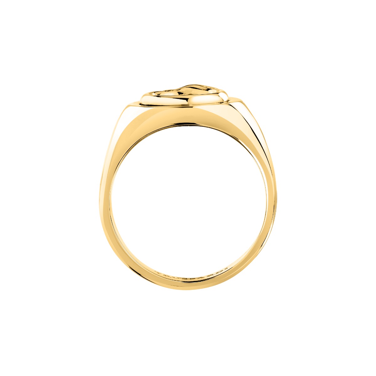 Trussardi T-HERITAGE women ring steel gold size 12