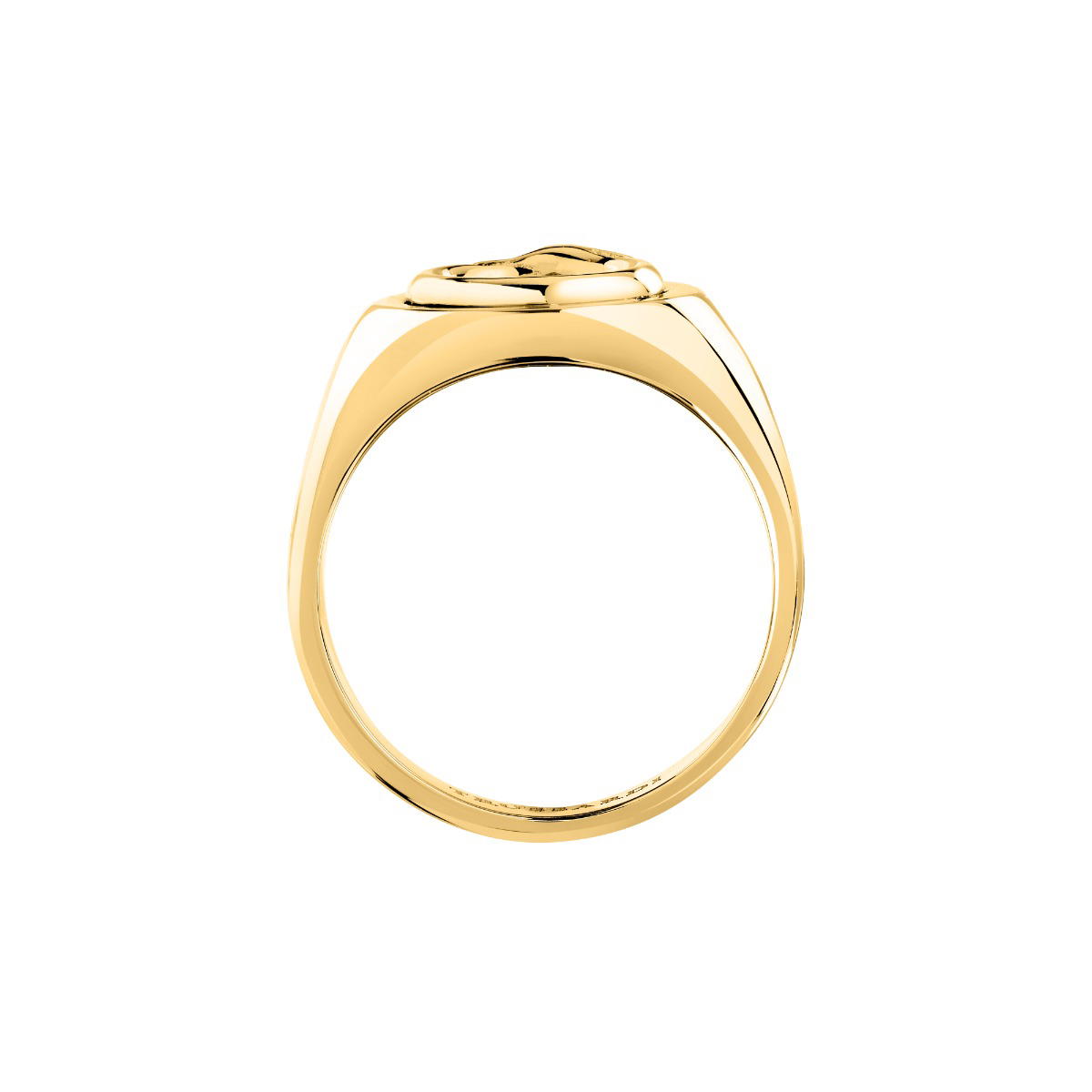 Trussardi T-HERITAGE women ring steel gold size 12