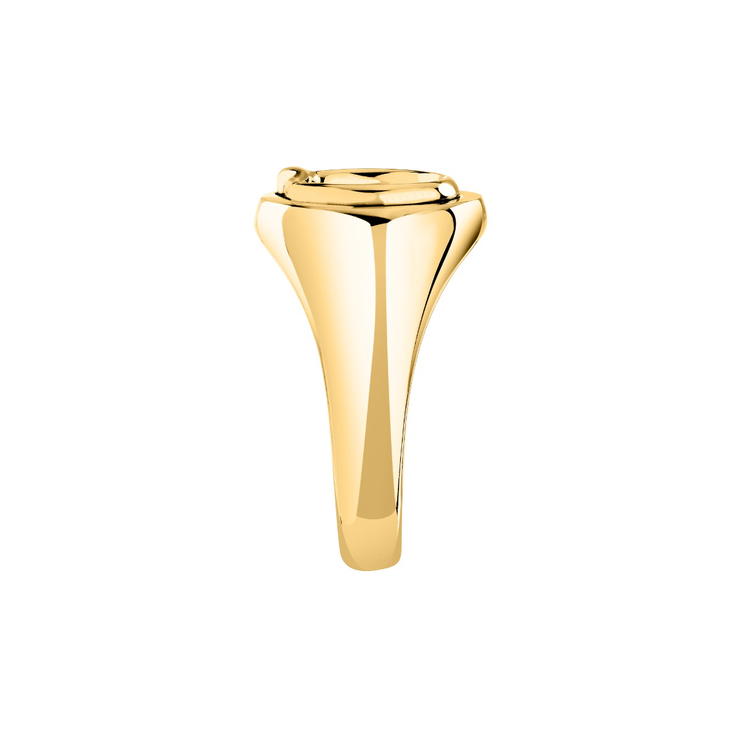 Trussardi T-HERITAGE women ring steel gold size 12