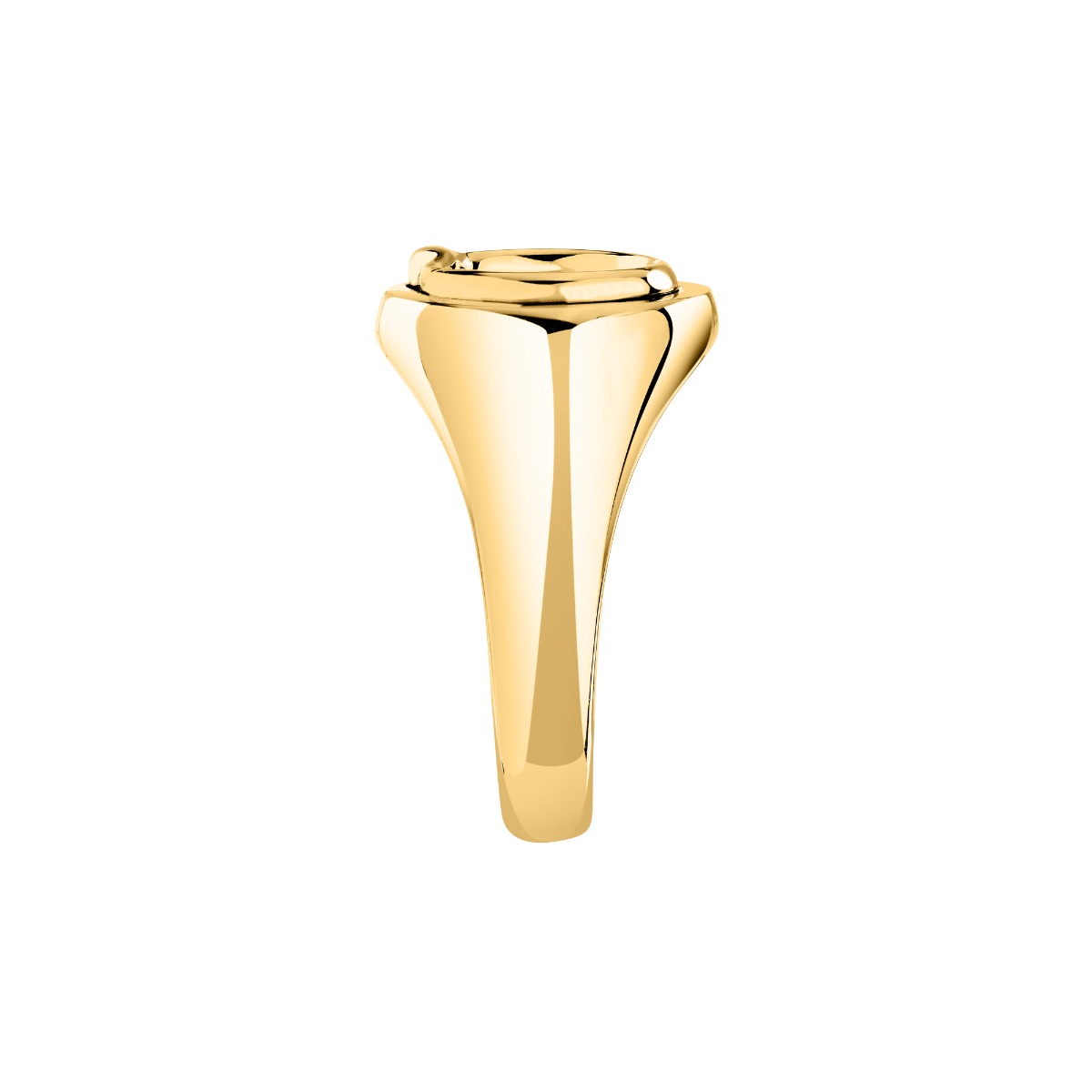 Trussardi T-HERITAGE women ring steel gold size 14